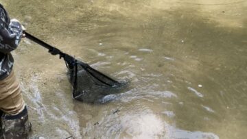 Together-Toddler-Bros-Reel-in-a-Giant-Rainbow-Trout-Their.jpg