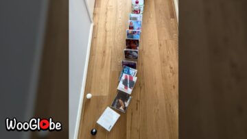Ultimate-Epic-Ping-Pong-Trick-Shot-Gone-Wrong-Hilarious-Home.jpg