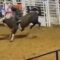 Unleashed Chaos: Rider Gets Dismissed by an Angry Bull! | Try Not to Laugh