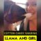 Watch Mama Llama Share Cotton Candy with Adorable Baby | Super Cute