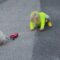 Watch This Bold Toddler’s Epic Dog Walking Adventure – Guaranteed to Make You LOL! | Try Not to Laugh