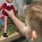 Watch This Boy’s Hilarious Revenge on an Elf Who Devoured His Chocolates! | Try Not to Laugh!