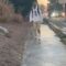 Watch This Girl’s Hilarious Ice Fail While Chasing Her Friend! | Try Not to Laugh