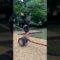 Watch This Girl’s Hilarious Walking Frame Adventure Go Unexpectedly Sideways! | Try Not to Laugh