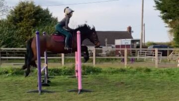 Watch-This-Rider-Take-an-Unexpected-Dive-After-a-Horses.jpg