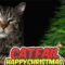 When Christmas Trees Attack: A Feline Takeover! | Try Not to Laugh