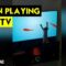 Adorable Cat’s Hilarious Attempt to Catch Fish from TV Screen! | Super Cute