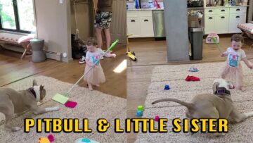 Adorable-Toddler-and-Pitbull-Share-Heartwarming-Moments-Like-True-Siblings.jpg
