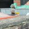 Adorable squirrel caught enjoying avocado snack and wiping its mouth like a boss! | Super Cute