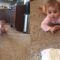 Baby girl gets surprise visit from playful cat | Super Cute