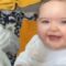 Dad’s Hilarious Antics Spark Giggles and Joy from His Sweet Baby Girl | Heartwarming