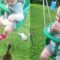 Ducks make baby boy cry for stealing his food | Adorable
