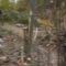 Epic Mountain Biker Soars High, But Gravity Has Other Plans! | Try Not to Laugh!