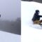 Epic Ski Backflip Fail at Mount Snow: Gravity 1, Skier 0! | Try Not to Laugh