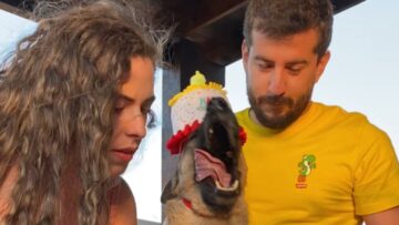 Exploding-candle-startles-birthday-pupper-Adorable.jpg