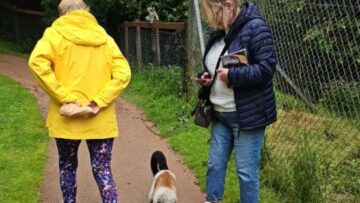 Family-faces-clingy-lemur-at-South-Lake-Safari-Zoo.jpg