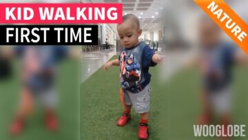 First-Steps-Babys-Adorable-Walk-Cute.jpg