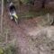 From Confidence to Comedy: Mini-Jump Mishap Brings Hilarity! | Try Not to Laugh!