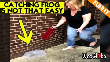 Jumping-into-Laughter-The-Ultimate-Frog-Trap-Fiasco-Try.jpg