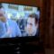 Kitten hilarious fail: falls off TV trying to get close | Super Cute