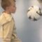 Little Boy’s 6th Birthday Kick-Ups: A Heartwarming Celebration at Sports Direct | Heartsome