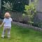 Little Girl’s Tearful Love for Her Bunny Touches Hearts in the Garden | Heartwarming