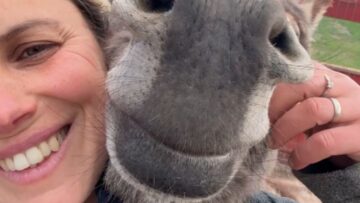 Meet-the-Lovable-Donkey-Thriving-at-a-Romanian-Animal-Rescue.jpg