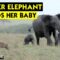 Mother Elephant fiercely protects her adorable baby | Super Cute