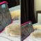 Sporty Cats: Adorable Athletes Show Why Exercise is Purr-fect for Everyone | Super Cute