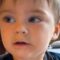 ‘Toddler’s Adorable Animal Sounds Will Melt Your Heart! | Heartwarming’