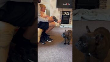 Toddlers-Giggle-Fest-Dogs-Adorable-Foot-Licks-Super-Cute.jpg
