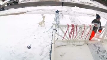 Winter-Woes-Watch-This-Girls-Hilarious-Battle-with-the-Cold.jpg
