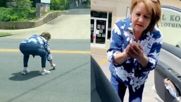 Woman-jumps-into-traffic-to-save-baby-bird-Super.jpg