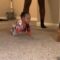 Baby’s Delight: The Cutest Bonding Moment with a Playful Kitten | Heartwarming