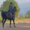 Gentle Horse Ride Takes a Hilarious Turn: Epic Backflip Fail! | Try Not to Laugh!