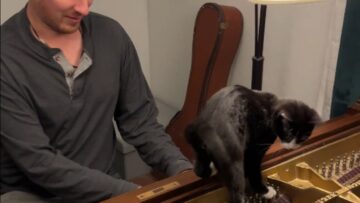 Kittens-First-Piano-Lesson-Super-Cute.jpg