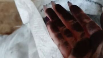 Man-Caught-Off-Guard-by-Hilarious-Simba-Paw-Print-Prank.jpg