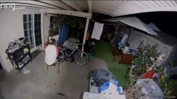 Numb-Arm-Antics-Hilarious-Ring-Doorbell-Mishap-Leaves-Boy-in.jpg