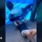 Orca vs. Human: The Ultimate Dance-Off Showdown! | Try Not to Laugh