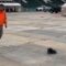 Scaffolder’s Epic Flip Flop: Ankle Drama Unfolds in Hilarious Fail! | Try Not to Laugh!