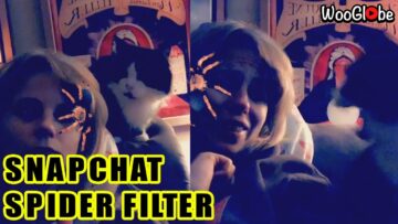 Snapchat-Spider-Filter-Vs-Cat-Super-Cute.jpg