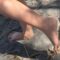 “Sunny Beach Bliss Turns into a Prickly Predicament! | Try Not to Laugh”