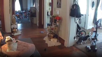 Toddlers-Vacuum-Experiment-Goes-Hilariously-Wrong-Chaos-Ensues-Super.jpg