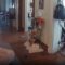 Toddler’s Vacuum Experiment Goes Hilariously Wrong | Chaos Ensues! Super Cute