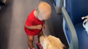 Toddlers-infectious-giggles-entertain-train-passengers-Super-Cute.jpg