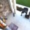 Unexpected Laughter: Adorable Stumbles on Camera That Will Brighten Your Day | Heartsome