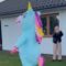 Blue vs Pink Unicorns: A Magical Showdown to Unveil Baby’s Gender! | Heartwarming