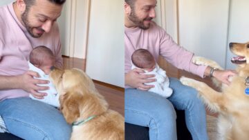 Dogs-Joyful-Welcome-for-Newborn-Baby-A-Heartwarming-Moment.jpg