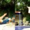 Epic Poolside Handstand Flop: A Splashy Surprise You Won’t Forget! | Try Not to Laugh