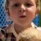 Heartwarming 5-Year-Old’s Reaction to Cute Puppy Surprise | Adorable